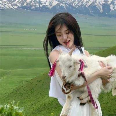 兄弟没狗不应该封面