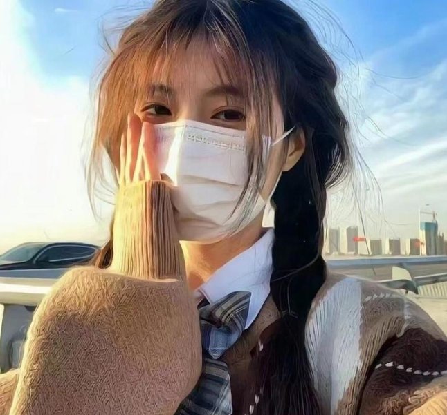 特洛伊封面